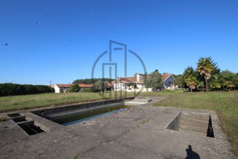 Quintinha T6 Venda em Antas e Abade de Vermoim,Vila Nova de Famalicão