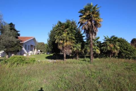Quintinha T6 Venda em Antas e Abade de Vermoim,Vila Nova de Famalicão