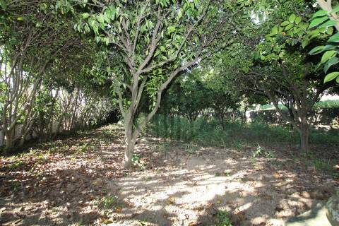 Quintinha T6 Venda em Antas e Abade de Vermoim,Vila Nova de Famalicão