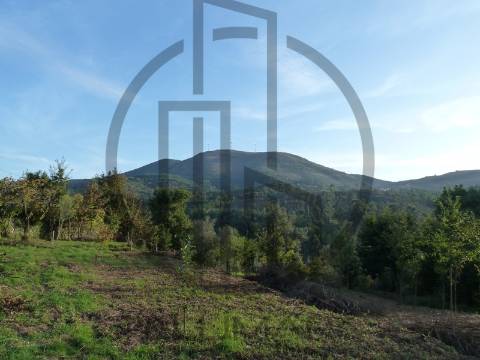 Quintinha T5 Venda em Ruivães e Campos,Vieira do Minho