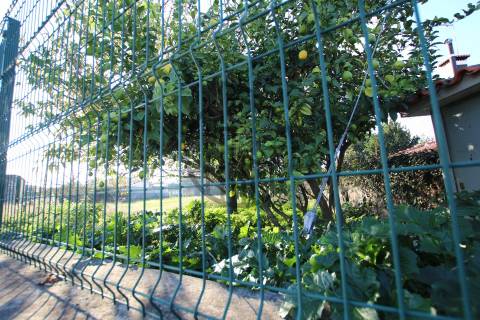 Terreno Para Construção  Venda em Carreira e Bente,Vila Nova de Famalicão