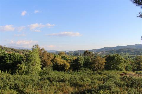 Terreno Para Construção  Venda em Canedo de Basto e Corgo,Celorico de Basto