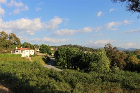 Terreno Para Construção  Venda em Canedo de Basto e Corgo,Celorico de Basto