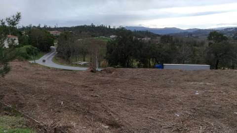 Terreno Para Construção  Venda em Canedo de Basto e Corgo,Celorico de Basto