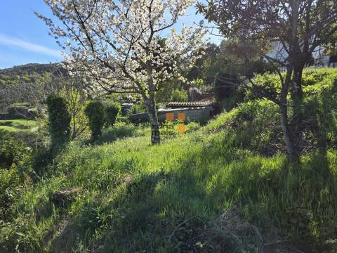 Moradia para Restaurar T2 Venda em Vale de Bouro,Celorico de Basto