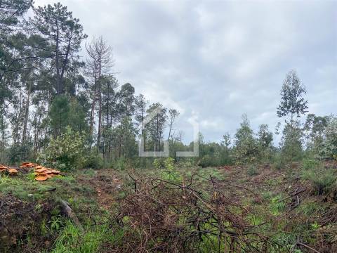 Terreno para construção de armazém