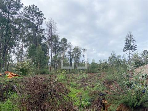 Terreno para construção de armazém