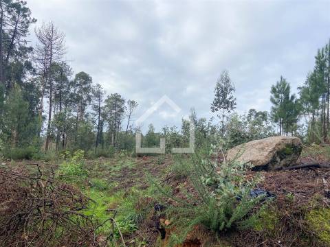 Terreno para construção de armazém