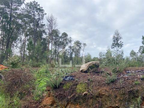 Terreno para construção de armazém