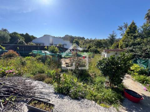 Terreno para construção - Grijó