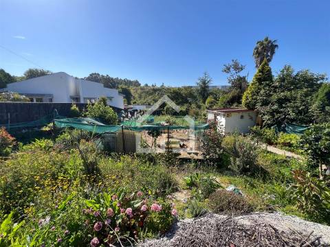 Terreno para construção - Grijó