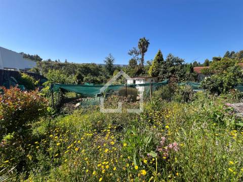 Terreno para construção - Grijó