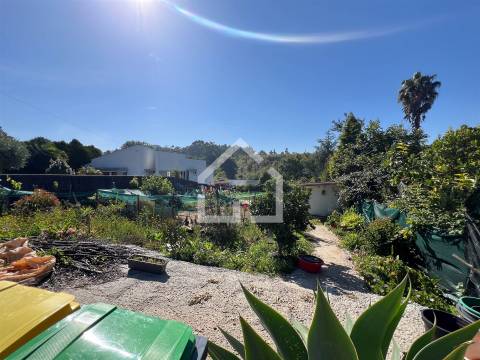 Terreno para construção - Grijó