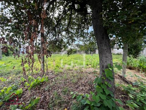 Terreno para construção, Pedroso