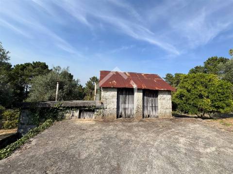 Quintinha com 5.105m2 com casa de Eira!