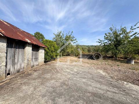 Quintinha com 5.105m2 com casa de Eira!