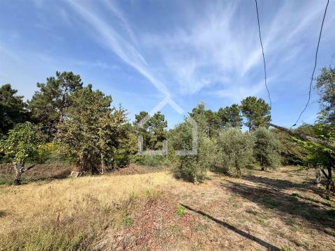 Quintinha com 5.105m2 com casa de Eira!