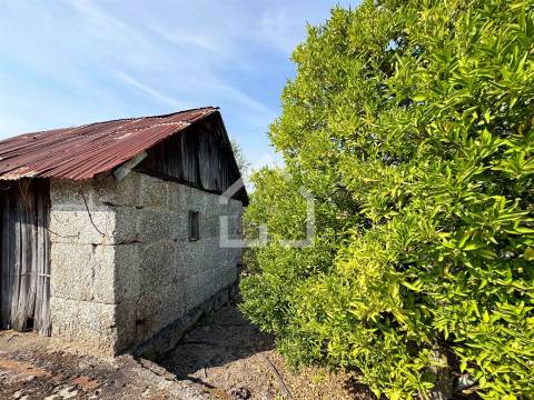 Quintinha com 5.105m2 com casa de Eira!