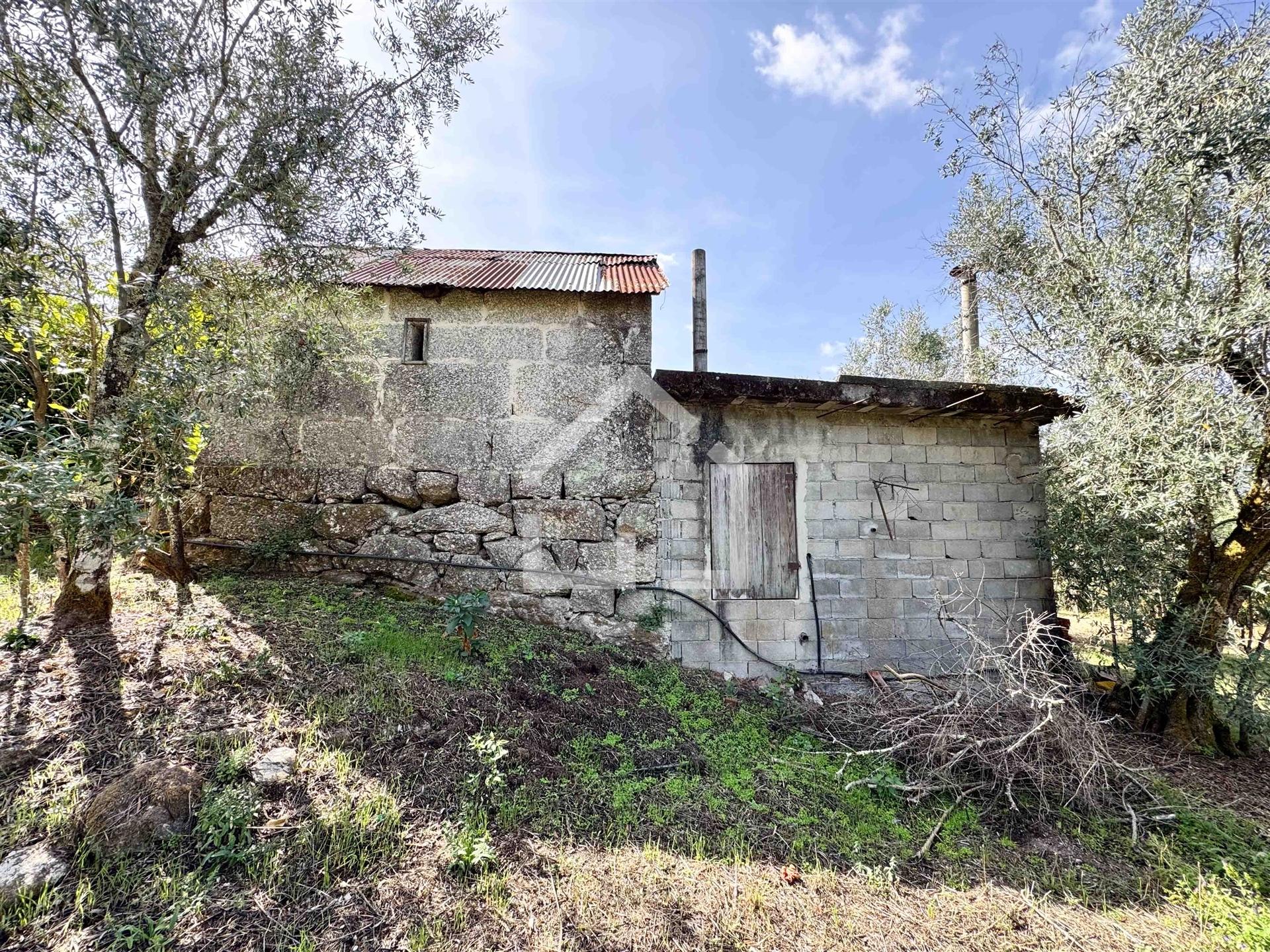 Quintinha com 5.105m2 com casa de Eira!