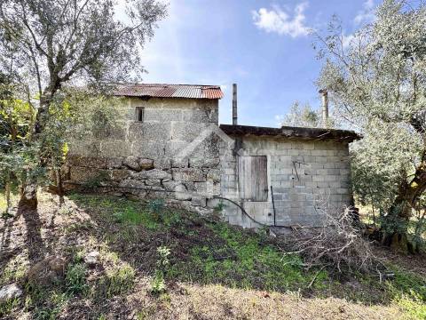 Quintinha com 5.105m2 com casa de Eira!