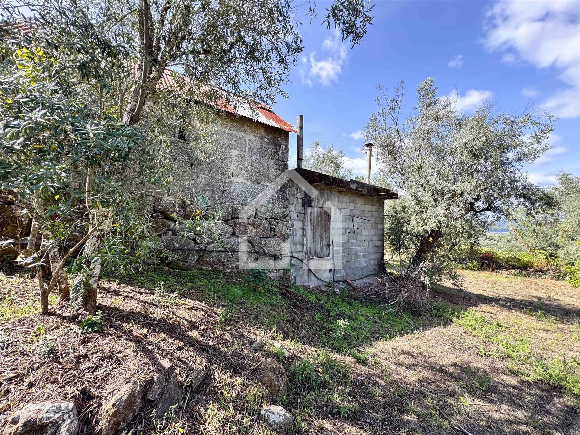 Quintinha com 5.105m2 com casa de Eira!