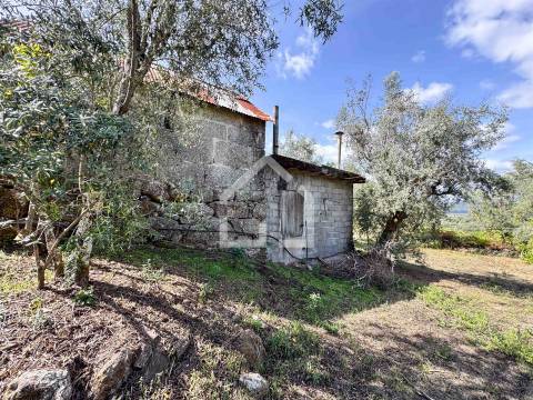 Quintinha com 5.105m2 com casa de Eira!