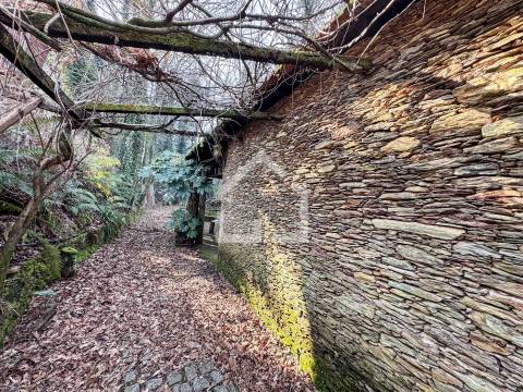 Quinta junto ao Rio Caima em Palmaz