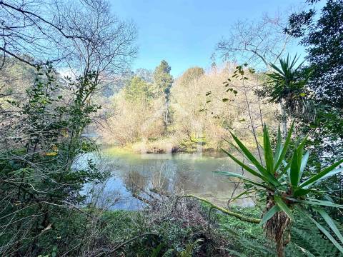 Quinta junto ao Rio Caima em Palmaz