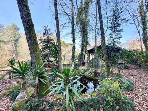 Quinta junto ao Rio Caima em Palmaz