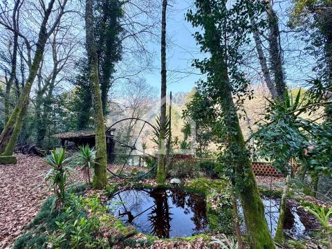 Quinta junto ao Rio Caima em Palmaz