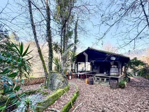 Quinta junto ao Rio Caima em Palmaz