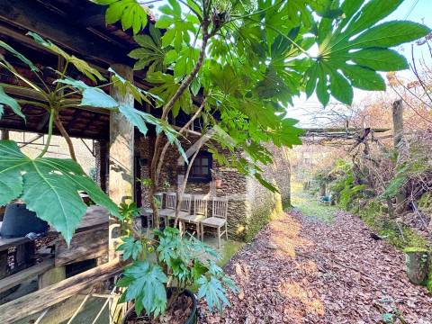 Quinta junto ao Rio Caima em Palmaz