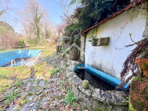 Quinta junto ao Rio Caima em Palmaz