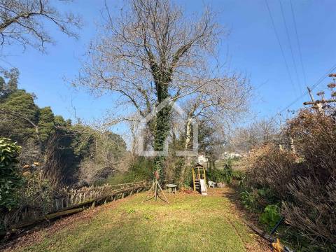 Quinta junto ao Rio Caima em Palmaz