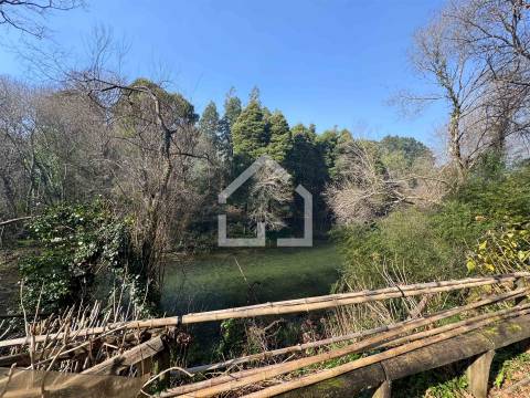 Quinta junto ao Rio Caima em Palmaz