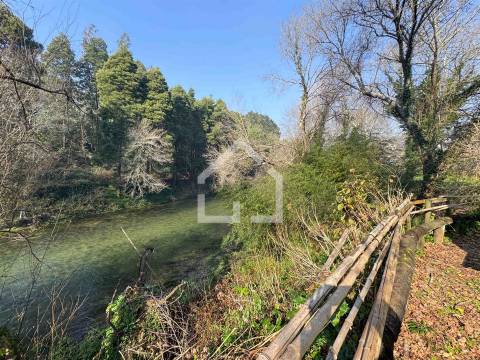 Quinta junto ao Rio Caima em Palmaz