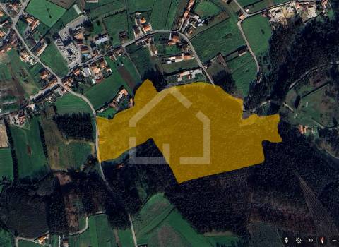 Quinta dos Velhos Moinhos - 7 Hectares!