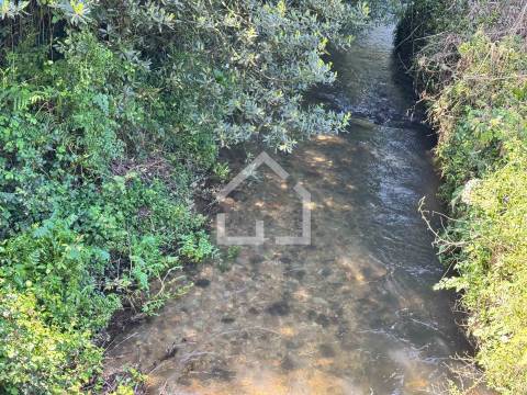 Quinta dos Velhos Moinhos - 7 Hectares!