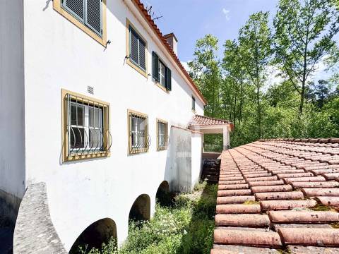 Quinta dos Velhos Moinhos - 7 Hectares!