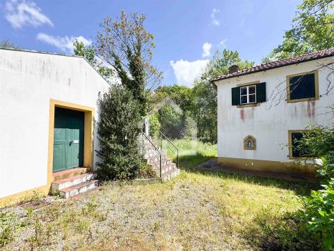 Quinta dos Velhos Moinhos - 7 Hectares!