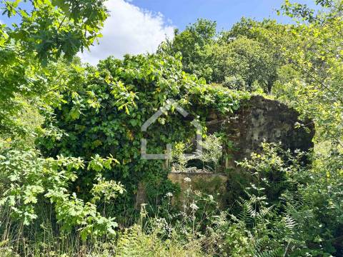 Quinta dos Velhos Moinhos - 7 Hectares!