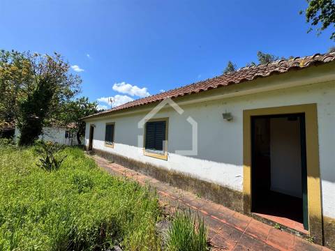 Quinta dos Velhos Moinhos - 7 Hectares!