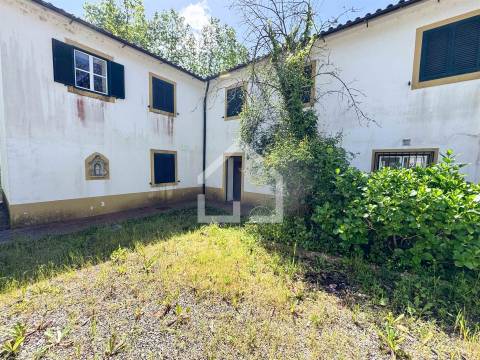 Quinta dos Velhos Moinhos - 7 Hectares!