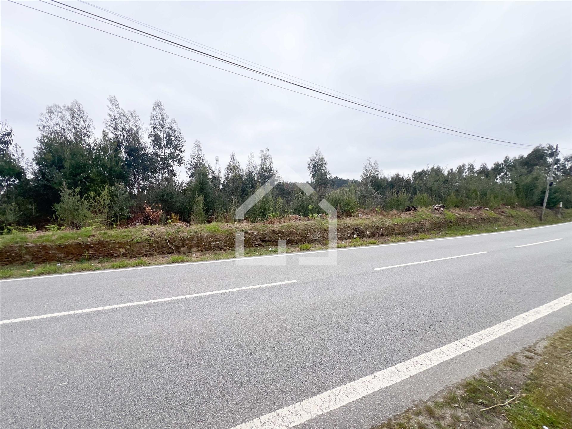 Terreno 18.260m2 - Canedo