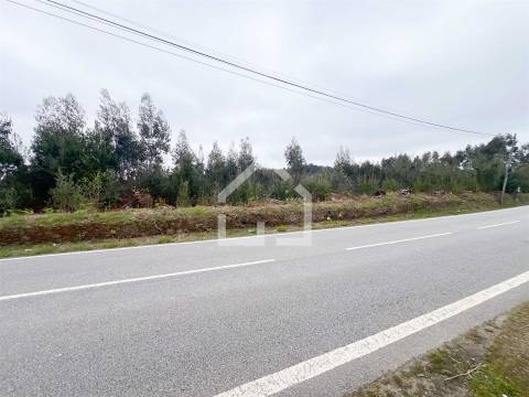 Terreno 18.260m2 - Canedo