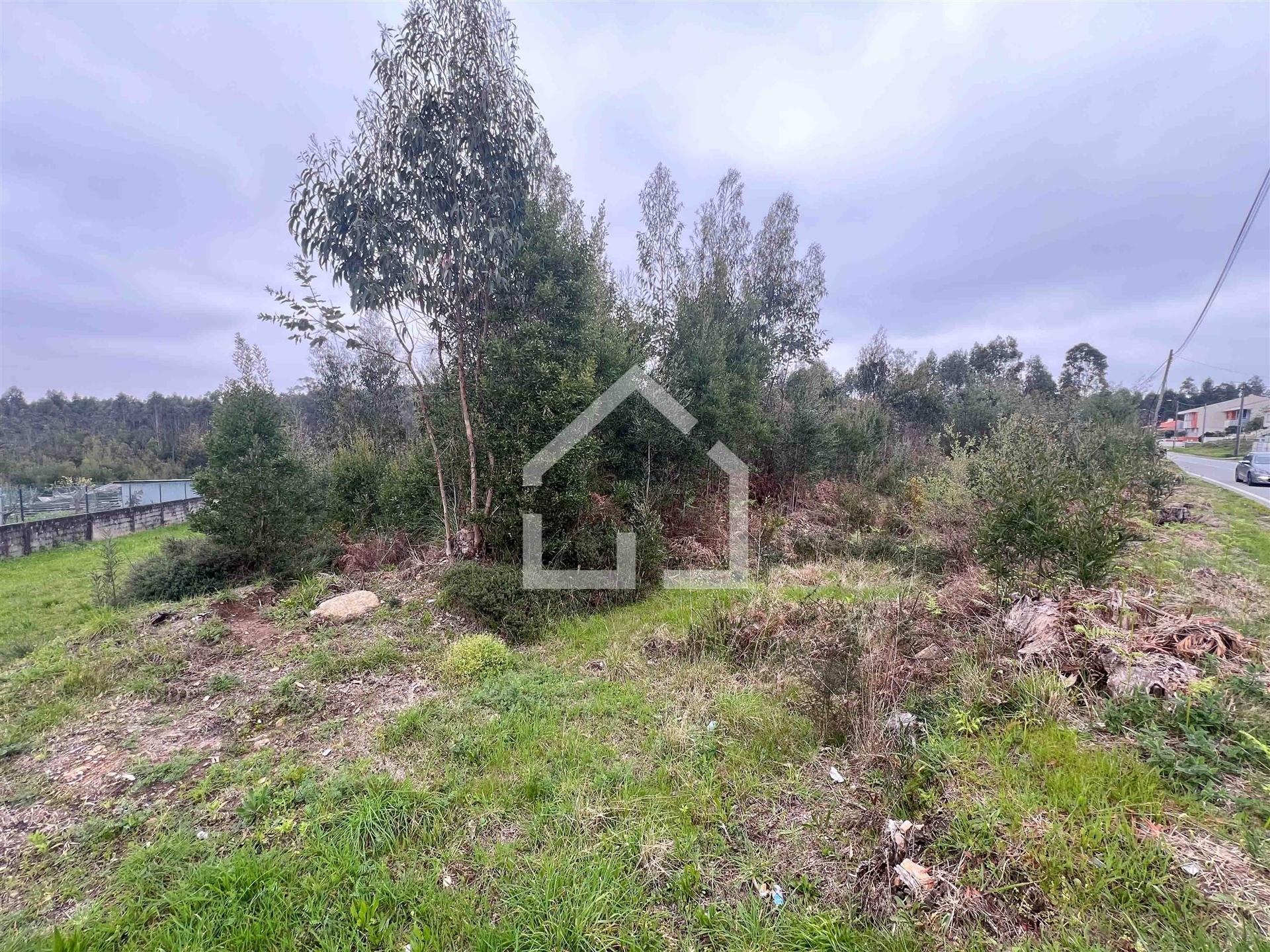 Terreno 18.260m2 - Canedo