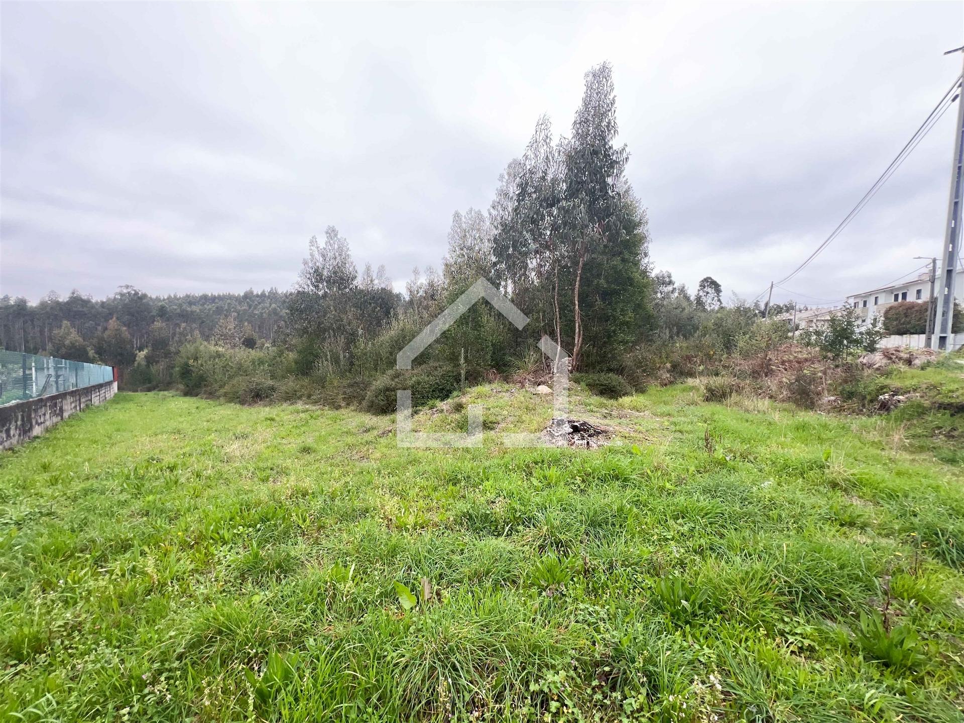 Terreno 18.260m2 - Canedo