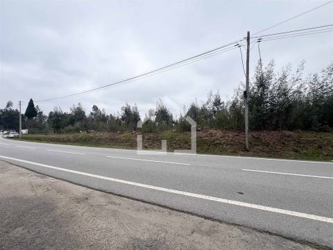 Terreno 18.260m2 - Canedo