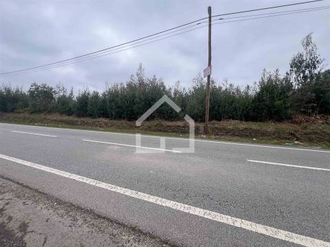 Terreno 18.260m2 - Canedo