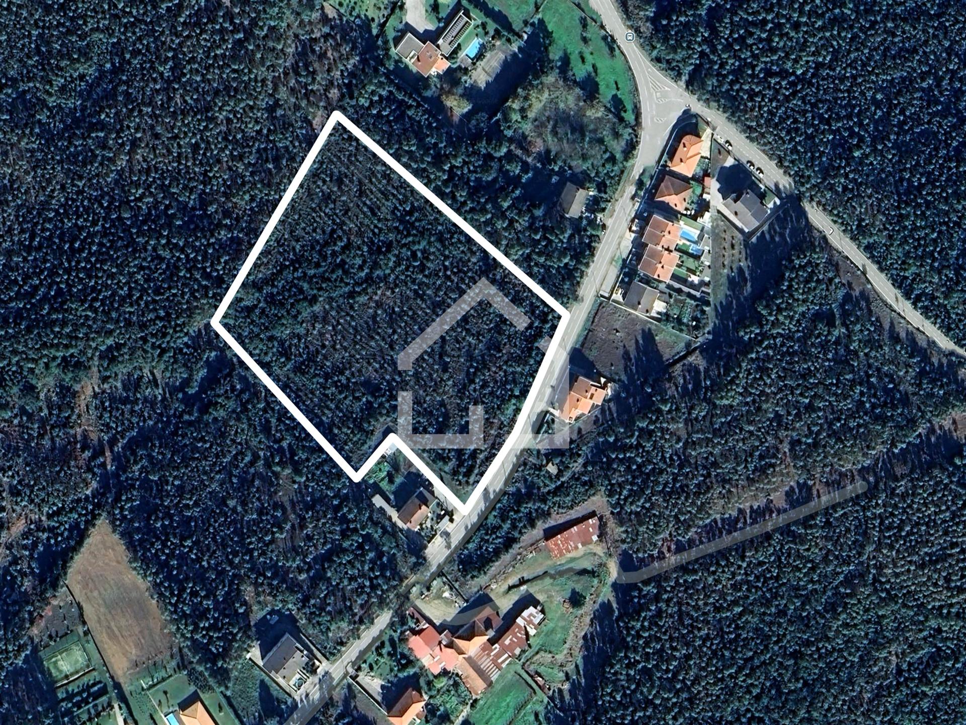 Terreno 18.260m2 - Canedo